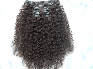 ブラジルの髪アフリカ系アメリカ人アフロキンキーカーリーヘアクリップで人間のヘアエクステンション自然ブラッククリップエクステンション