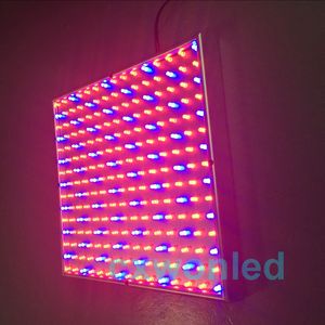 Großhandel 220 LED Blau + Rot Indoor Garden Hydroponic Plant Grow Light Panel 14 Watt + Hängeset DHL UPS Kostenloser Versand