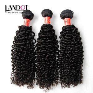 3Pcs Lot 8-30Inch Brazilian Kinky Curly Virgin Hair Grade 7A Unprocessed Brazilian Human Hair Weave Bundles Natural Black Extensions Dyeable