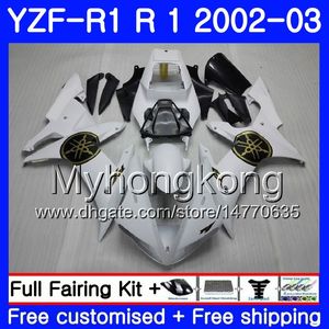 Bodys For YAMAHA YZF R 1 YZF 1000 factory white hot YZF-1000 YZFR1 02 03 Bodywork 237HM.14 YZF R1 02 YZF1000 YZF-R1 2002 2003 Fairing Frame