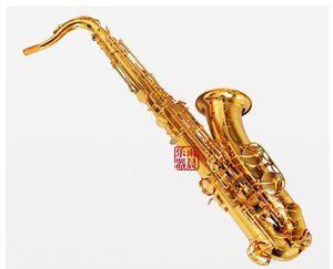 Wholesale tenor saxophone free shipping for sale - Group buy Japan TW01 Yanagisawa B Flat Tenor saxophone Music instrument With mouthpiece accessories