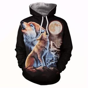 2020 mode 3d print hoodies sweatshirt casual pullover unisex höst vinter streetwear utomhus slitage kvinnor män hoodies 119