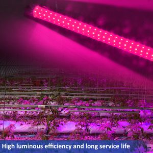 LED Grow Light Bar Oprawa 144W 288W Pełna Spectrum LED Roślin Gring Light 120 cm 240cm Kryty Hydroponic Medica 4ft 8ft Roślina rośnie