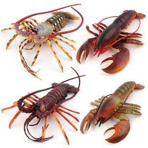 Lagostas de simulação Modelo Toys Adeços decorativos Austrália Lagosta Boston Lobster Marine Animals Modelos Ornamentos Decorações Crianças Aprendendo brinquedos educacionais