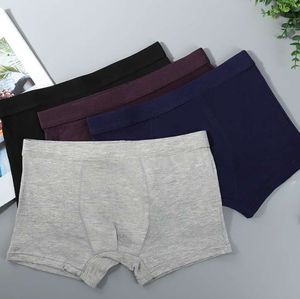 Fashion Brand males underwear man Sexy boxer briefs man Slim Fit Pouch Underpants wholesale