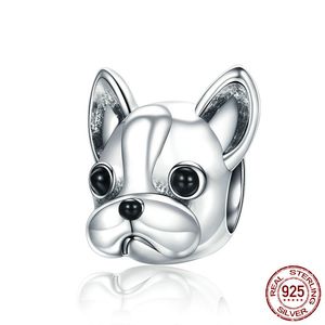 Mix design ren 925 sterling silver bulldog djur charm passform armband smycken charms för orm armband kvinnor gåva grossist italienska smycken
