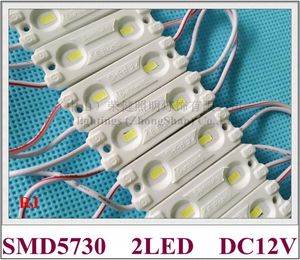 modulo LED ad iniezione modulo luce LED impermeabile per mini lettera di canale SMD5730 DC12V 2led 1W IP65 46mm (L) * 15mm (W) IP65 impermeabile