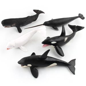 jouets transfrontaliers types de simulation des modèles animaux marins de simulation solide narval plusieurs modèles baleines