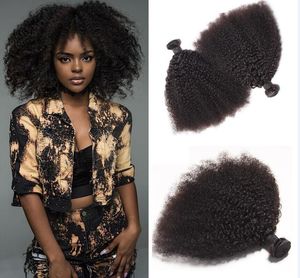 Capelli umani vergini brasiliani Afro crespi ricci capelli Remy non trattati tesse doppie trame 100 g/pacco di trame di capelli