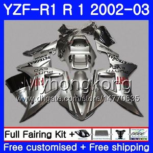 Bodys For YAMAHA YZF-1000 YZF R 1 YZF R1 2002 2003 Bodywork 237HM.38 YZF 1000 YZF-R1 02 YZF1000 Frame glossy silver all YZFR1 02 03 Fairing