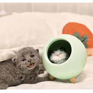 Creative Night Lights Novelty Special Product USB Laddning Liten ljus atmosfär sovrum med sömn varm katt