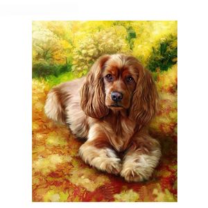 Ressam Rüya: Sayılarla DIY Yağlıboya Kurt / Köpek Tema 50 * 40 CM / 20 * 16 inç Ev Dekorasyon Için Tuval Üzerine