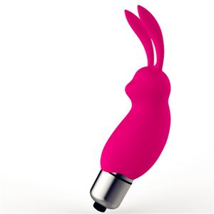 Giocattoli del sesso del vibratore della pallottola dell'uovo di vibrazione del coniglio per la donna Stimolatore del punto G del clitoride anale della vagina J1855