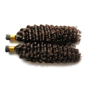 Italiensk keratin stick i tips mänskliga hårförlängningar # 4 mörkbrun pre bonded stick Virgin Malaysian Deep Wave Remy Hair Extensions Gratis Shippi
