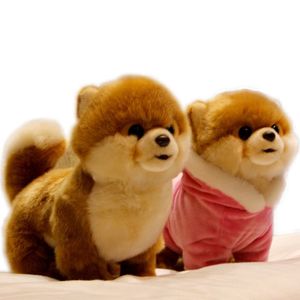 Hot Quality Realistic Pet Djur Plush Toy Mini Pomeranian Maltese Dog Shiba Inu Doll för Kids Girl Presentdekoration Dy50659