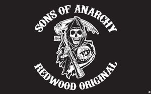 3x5 FTS Son of Anarchy Chaos Flagi hurtowej ceny fabrycznej 90 x 150 cm