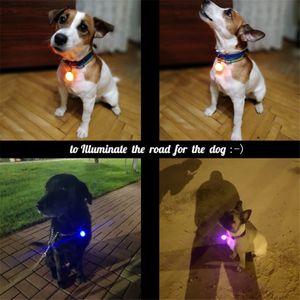 Hurtownie Pet Night Bezpieczeństwo LED Latarka Kołnierz Pies Guide Lights Świecące Naszyjnik Pet Luminous Jasny świecący kołnierz Brak baterii