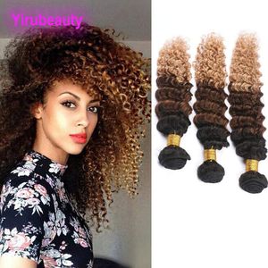 Malaysisk grossistförlängning av människohår 3 buntar Ombre 1B 4 27 Deep Wave Curly 1B/4/27 Virgin Hair 8-28inch