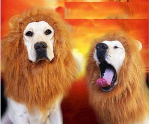 Śmieszne Zwierząt Zabawki Halloween Cosplay Festiwal Włosy Dekoracji Psy Kostium Wig Halloween Ubrania Fancy Dress Up Lion Mane Wigs Dla dużych psów