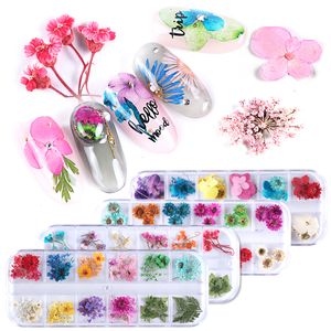 3D Nail Art Süslemeleri Çıkartmalar Kurutulmuş Çiçek Yaprak Gerçek Çiçek UV Jel Lehçe Doğal Çiçekler Sticker Slider Set Güzellik Manikür Çıkartması