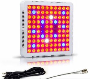 Gratis fartyg 300W 600W Lead Grow Light for Greenhouse Indoor Plant Medical Grow Supplement Light Fill Lamp