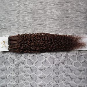 Micro Loop Ring Hair Extensions 1 g / s 100g 100 sztuk Afro Kinky Curly Podświetlone Remy Hair Pre Bonded Micro Loop Hair