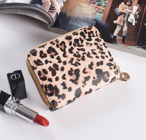 3st leopard plånbok kvinnor pu leopard tryck multifunktionella korta plånböcker