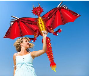 3D Pterosaur Kites Animal Dinosaur kite long tail single line Dragon outdoor sports fun toy kites children gift with 100M line