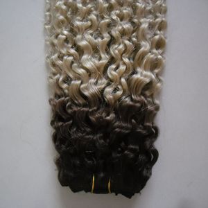 Kinky Curly Weave Hårbuntar 100% Human Hair Bundles 1PC Naturlig Non Remy Ombre Curly Wave Curly Virgin Hair Weave