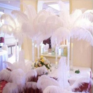 200 pcs Per lot 10-12 inch White Ostrich Feather Plume Craft Supplies Wedding Party Table Centerpieces Decoration GB834