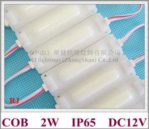 Injektionslampa Modul Ljus Vattentät med lins Aluminium PCB DC12V 2W COB IP65 CE RoHS 69mm * 19mm Vattentät