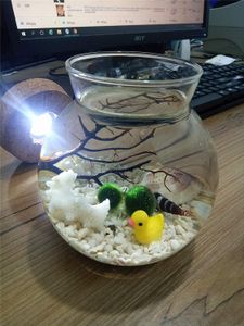 LED Aquarium Kit - 4,3 "rundes Glas mit Korken, Aquarium Kiese, lebendem Moosball und Muscheln im Angebot