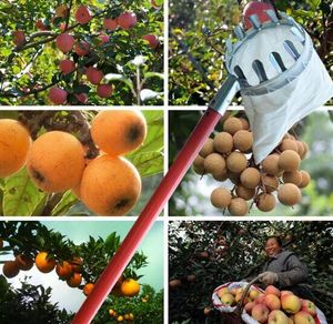 Wholesale Garden Pruning Fruit Picker Gardening Apples Pear Peach Picking Tool Metal Creatively Long Length Collection Gathering Tools