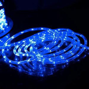 100m 2Wire runda rep ljus AC110V AC220V LED Flex Rope Light PVC LED Strip Lights Flex Tube Disco Bar Pub julfest