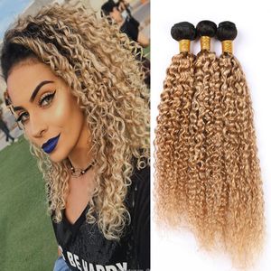 Honey Blonde Peruvian Curly Human Hair Weave Bundles Kinkys Curly 3 Bundle Deals #1B 27 Dark Root Light Brown Ombre Virgin Hair Extensions