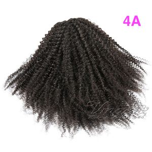 브라질 VMAE 자연 블랙 100 G 120 G 3A 3B 3C 4A 4B 4C HORETETAIL 꽉 구멍 곱슬 인간의 레미 헤어 Drawstring Ponytails