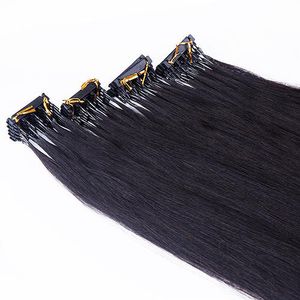 ペルーの人間の毛の束プリボンドヘアエクステンションループマイクロリング6Dチップヘア2世代製品NTural Black Brown Blonde