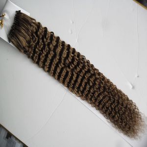 Afro Kinky Curly Microループヘアエクステンション100gマレーシアのバージン1g sキンキーカーリーマイクロループリングヘアエクステンション金髪レミー髪