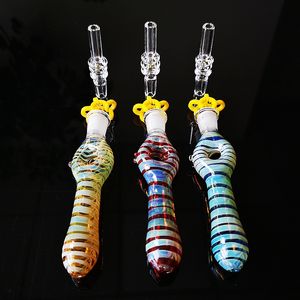 Pipe en verre Pipes à fumer avec des pointes de quartz Slide Cigarette Fumée Dab Paille Huile Rigs 10mm Tuyaux d'eau mâles Accessoires Narguilé