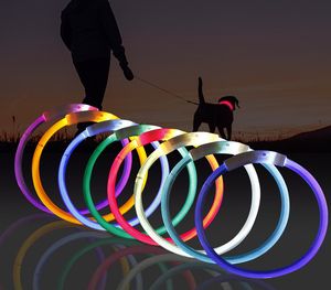أحدث الذكية LED الحيوانات الأليفة مضيئة طوق USB شحن طوق تيدي مضيئة الرقبة كم الصغيرة والمتوسطة الكلاب الكبيرة القطط مستلزمات الحيوانات الأليفة