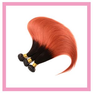 1B/350 Två toner 100% mänskliga hårförlängningar Peruanska 10-28 tum dubbla wefts raka 1b 350 ombre färg
