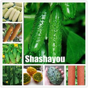 200 Pcs Seeds Green Cucumber Bonsai Non-GMO Delicious Cucumber Fruit & Vegetable Plant for Home Garden Planting