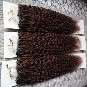 Afro Kinky Curly Mirco Loop Ring Włosy 100% Ludzkie Włosy Rozszerzenia Micro Koraliki Rozszerzenia 300 Nici Kinky Curly Loop Extensions 300g