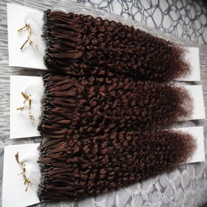 Afro Kinky Curly Mirco Loop Anel Cabelo 100% Extensões de Cabelo Humano Micro Grânulos Extensões 300 Strands Kinky Curly Loop Loop Extensões de Cabelo 300g