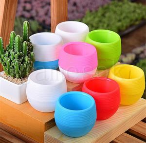 7 * 7cm mini flower pot 5 color round plastic flower groove leak hole design flower pot succulent garden bonsai pot home decoration DC940