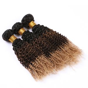 Capelli umani Ombre peruviani a tre toni 3 Offerte di bundle Ricci crespi # 1B 4 27 Fasci di tessuto per capelli vergini Ombre Biondo miele Radici scure