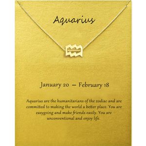 Colar De Aquarius Prata venda por atacado-Moda jóias constelação aquarius pingente colares para mulheres zodíaco cadeias colar ouro prata cor presente de aniversário