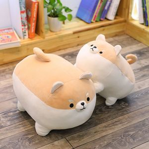 Bemenset 40 / 50cm bonito shiba inu cão brinquedo pelúcia pelúcia pelúcia animal macio corgi chai travesseiro presente para crianças kawaii namorados presente