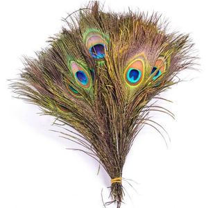 Pure Natural Peacock Feathers Importerade påfågelfjädrar DIY Hushållsvasdekoration 25-30 cm W816