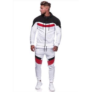 Herren Kleidung Männer Langarm Hoodies Hosen Sets Streifen Druck Männliche Trainingsanzug Patchwork Sport Anzug Casual